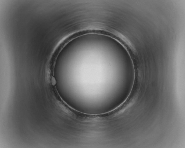 X0000112170926200908071155