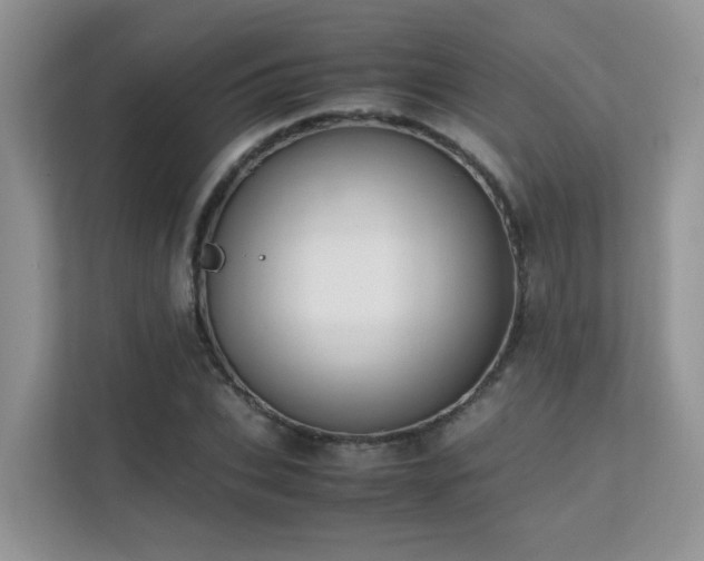 X0000112170927200908071155