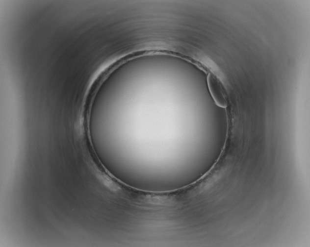 X0000112170928200908071155