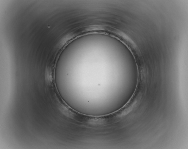 X0000112170929200908071155