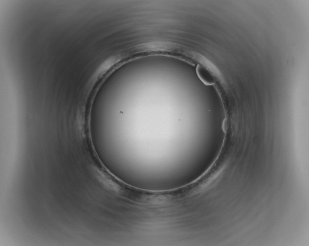 X0000112170930200908071155