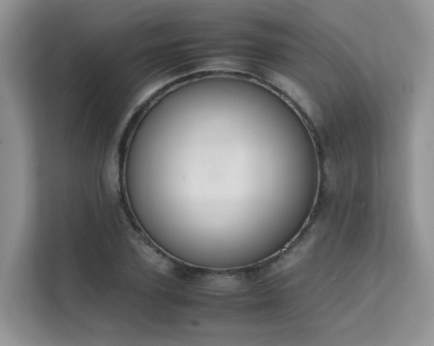 X0000112170931200908071155