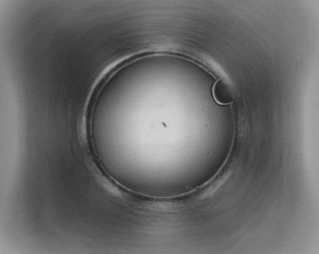 X0000112170932200908071155