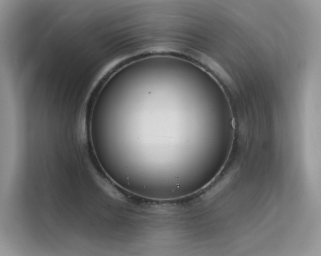 X0000112170934200908071155