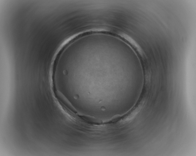 X0000112170935200908071155