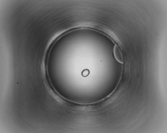 X0000112170936200908071155