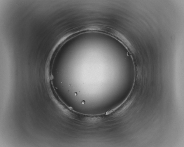 X0000112170939200908071155