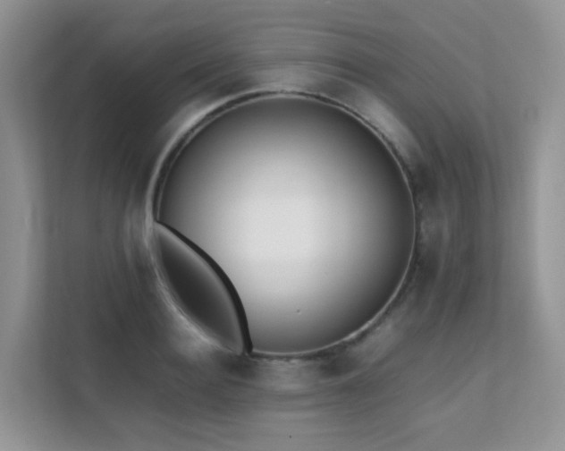 X0000112170940200908071155