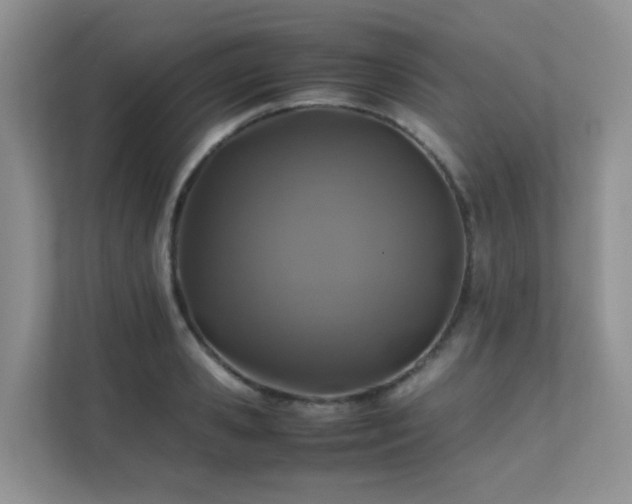 X0000112170941200908071155