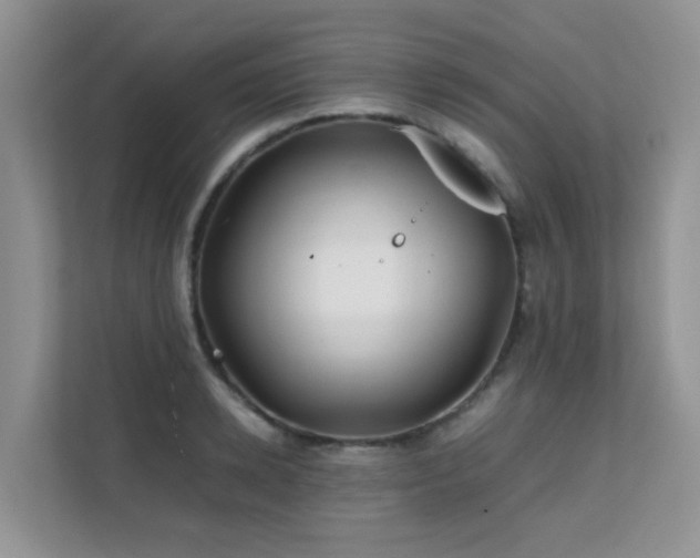 X0000112170942200908071155