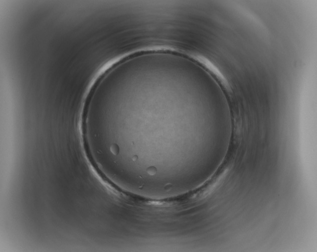 X0000112170943200908071155