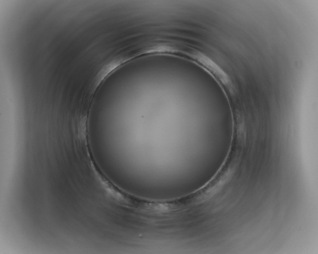 X0000112170945200908071155