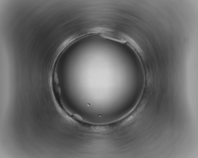 X0000112170946200908071155