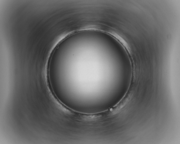 X0000112170949200908071155