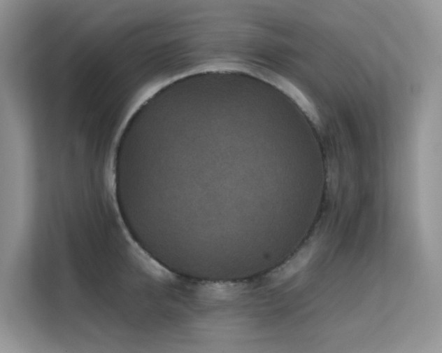 X0000112170950200908071155