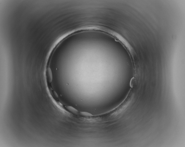 X0000112170951200908071155