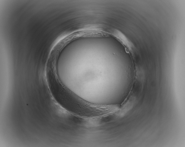 X0000112170952200908071155