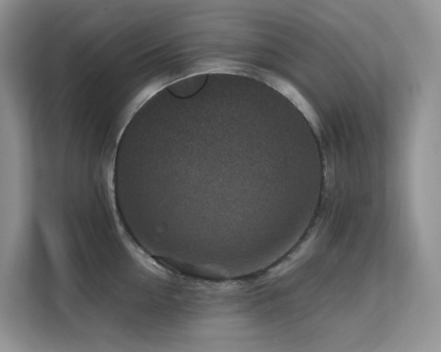 X0000112170954200908071155