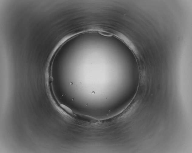 X0000112170955200908071155