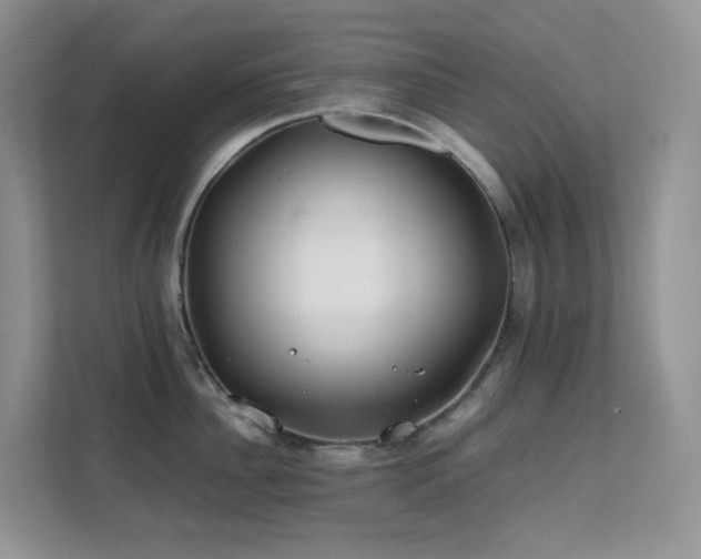 X0000112170956200908071155