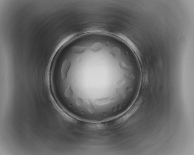 X0000112170957200908071155