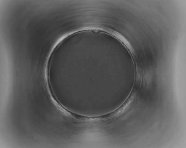 X0000112170958200908071155