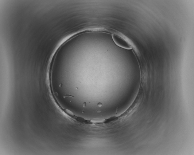 X0000112170959200908071155