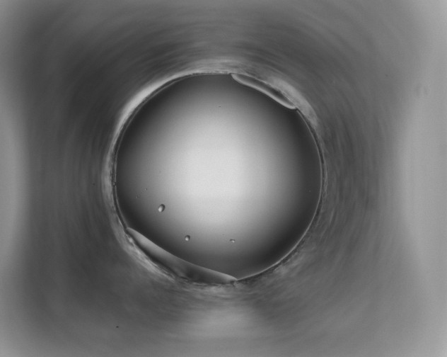 X0000112170960200908071155