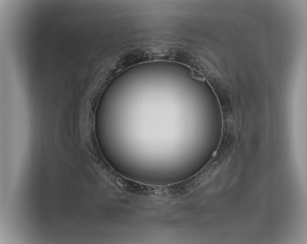 X0000112170961200908071155