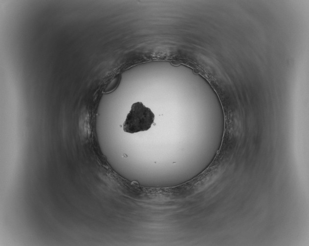 X0000112170962200908071155