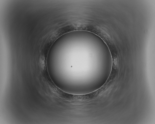 X0000112170963200908071155