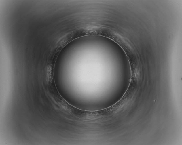 X0000112170964200908071155