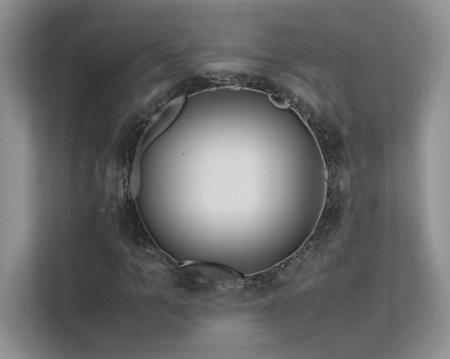 X0000112170965200908071155