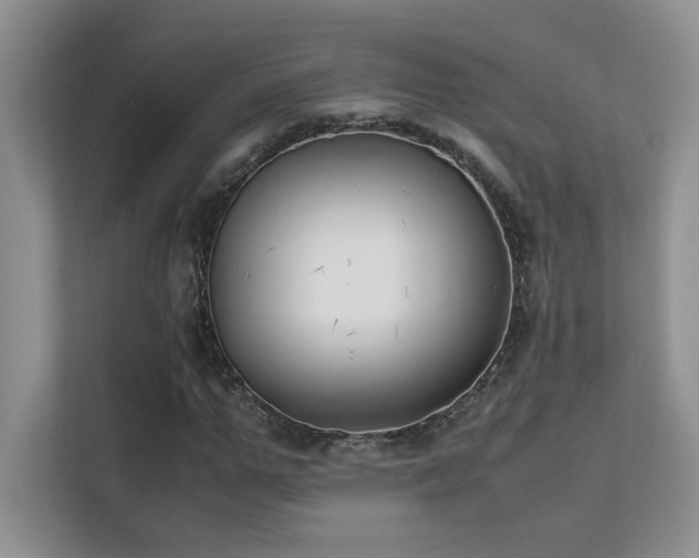 X0000112170967200908071155