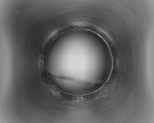 X0000112170968200908071155