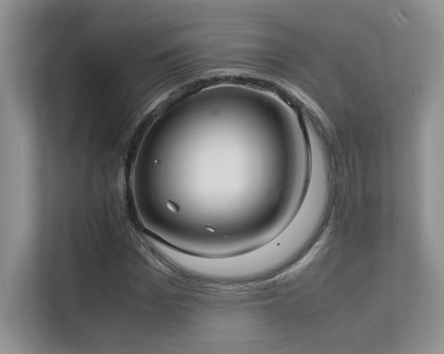 X0000112170969200908071155