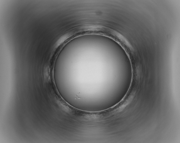 X0000112170970200908071155