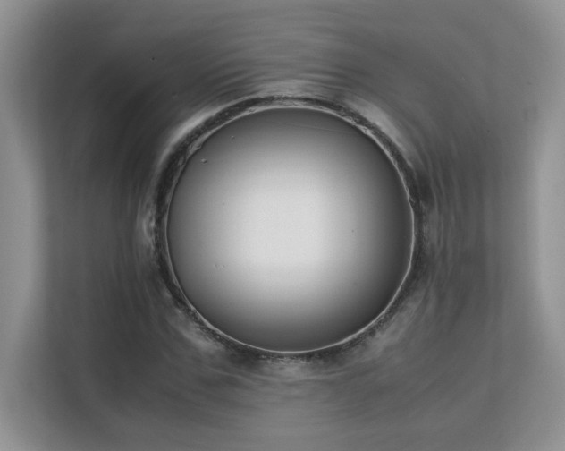 X0000112170971200908071155