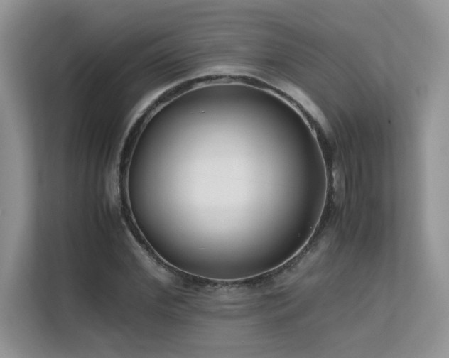 X0000112170972200908071155