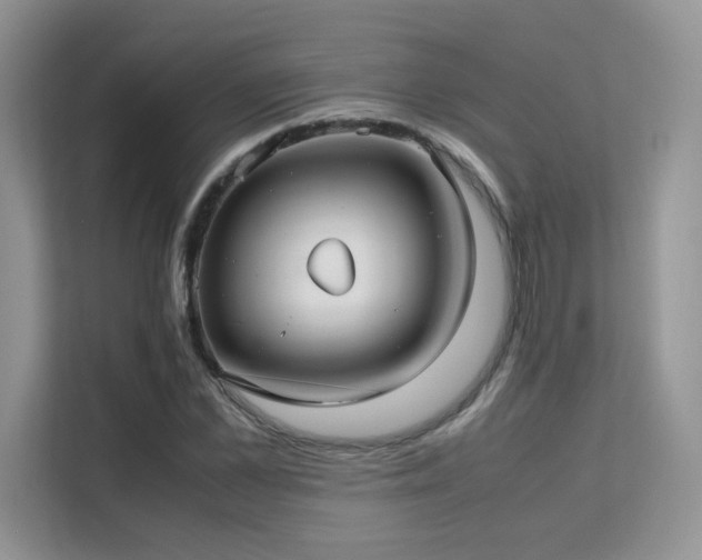 X0000112170973200908071155