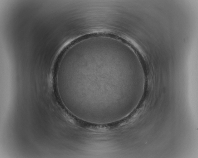 X0000112170975200908071155