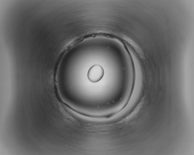 X0000112170977200908071155