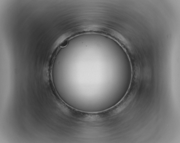 X0000112170978200908071155