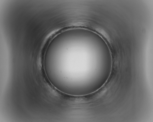 X0000112170979200908071155