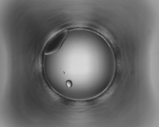 X0000112170981200908071155