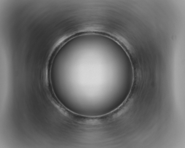 X0000112170982200908071155