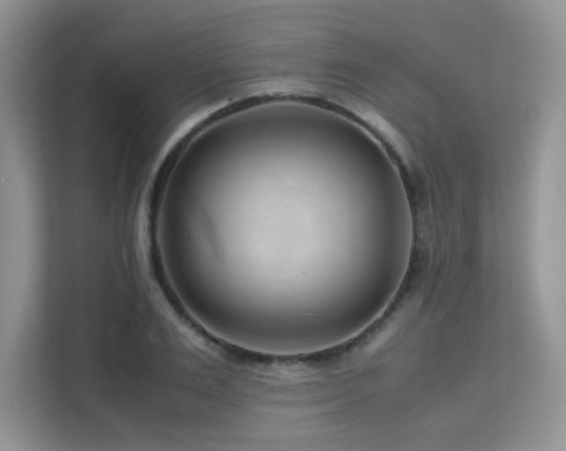 X0000112170983200908071155