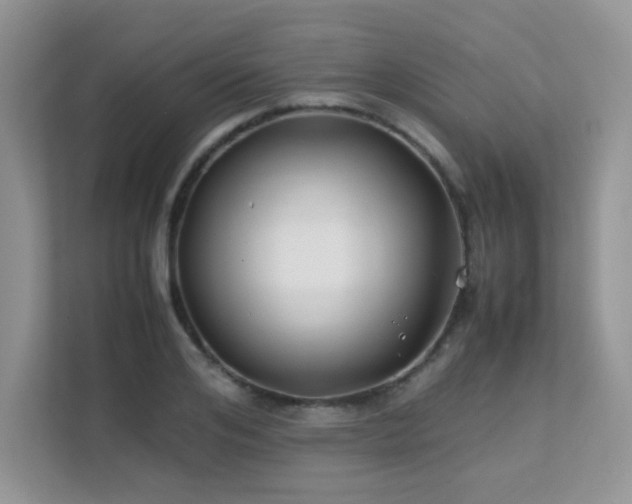 X0000112170984200908071155