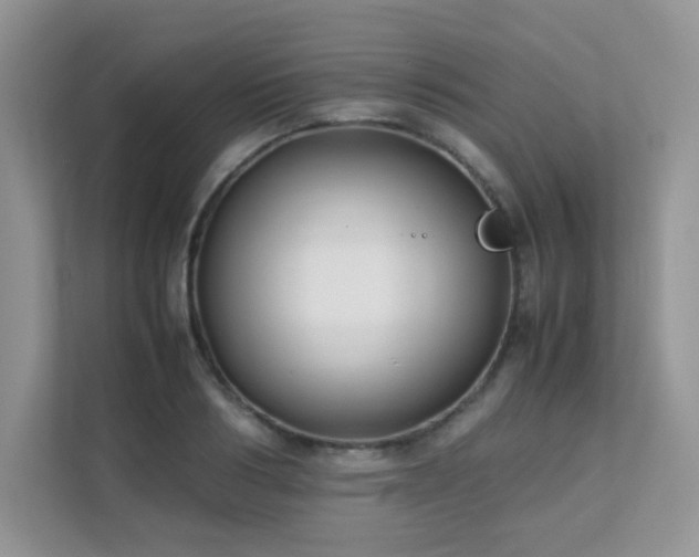 X0000112170986200908071155