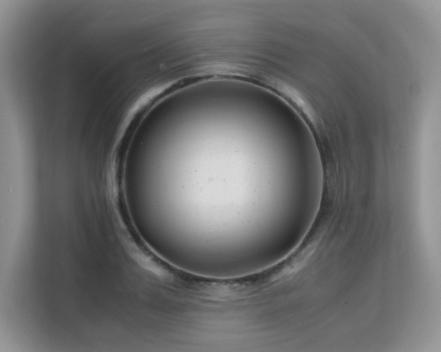 X0000112170987200908071155